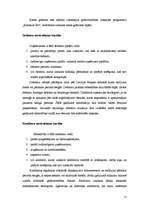 Prakses atskaite 'Grāmatvedības paņēmienu pielietojums', 15.