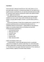 Biznesa plāns 'Sabiedrība ar ierobežotu atbildību „TEM”', 1.