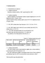 Biznesa plāns 'Sabiedrība ar ierobežotu atbildību „TEM”', 2.