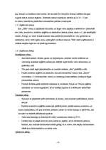 Biznesa plāns 'Sabiedrība ar ierobežotu atbildību „TEM”', 4.