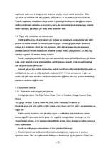 Biznesa plāns 'Sabiedrība ar ierobežotu atbildību „TEM”', 13.