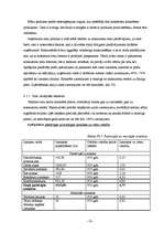 Biznesa plāns 'Sabiedrība ar ierobežotu atbildību „TEM”', 16.