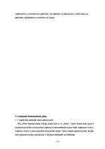 Biznesa plāns 'Sabiedrība ar ierobežotu atbildību „TEM”', 19.