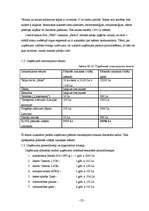 Biznesa plāns 'Sabiedrība ar ierobežotu atbildību „TEM”', 20.