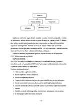 Biznesa plāns 'Sabiedrība ar ierobežotu atbildību „TEM”', 23.