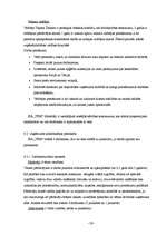 Biznesa plāns 'Sabiedrība ar ierobežotu atbildību „TEM”', 24.