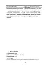 Biznesa plāns 'Sabiedrība ar ierobežotu atbildību „TEM”', 28.