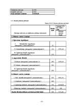 Biznesa plāns 'Sabiedrība ar ierobežotu atbildību „TEM”', 31.