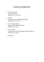 Referāts 'Romantisms tēlotājā mākslā', 17.