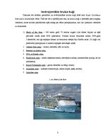 Referāts 'Kruīzu kuģi kā tūrisma sektors, darbības specifika, ievērojamākās kompānijas', 8.