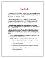 Konspekts 'Vadības teorija', 6.