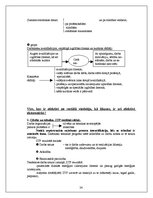 Konspekts 'Vadības teorija', 24.