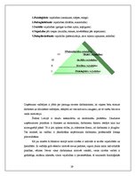 Konspekts 'Vadības teorija', 29.