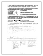 Konspekts 'Vadības teorija', 48.