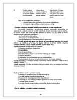 Konspekts 'Vadības teorija', 49.