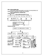 Konspekts 'Vadības teorija', 55.