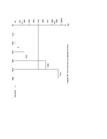 Paraugs 'Lokālais un momentānais plūsmas ātrums', 4.