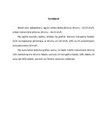 Paraugs 'Lokālais un momentānais plūsmas ātrums', 5.