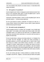 Referāts 'Nelegāli iegūto līdzekļu legalizācija', 9.