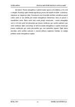 Referāts 'Nelegāli iegūto līdzekļu legalizācija', 13.