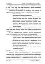 Referāts 'Nelegāli iegūto līdzekļu legalizācija', 32.