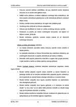 Referāts 'Nelegāli iegūto līdzekļu legalizācija', 41.