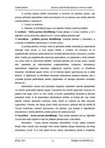 Referāts 'Nelegāli iegūto līdzekļu legalizācija', 53.