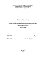 Referāts 'Esošā produkta (dzeramā jogurta) jauno iespēju izpēte', 1.