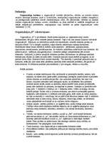 Konspekts 'Uzņēmuma "X" apraksts. Iekšējās un ārējās pazīmes', 1.