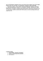 Konspekts 'Uzņēmuma "X" apraksts. Iekšējās un ārējās pazīmes', 5.