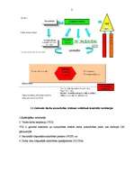Referāts 'Darba aizsardzība Latvijā', 3.