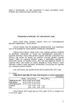 Referāts 'Firmas mārketinga stratēģijas izstrāde', 5.