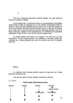 Referāts 'Firmas mārketinga stratēģijas izstrāde', 20.