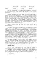 Referāts 'Firmas mārketinga stratēģijas izstrāde', 21.