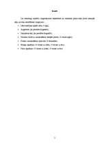 Konspekts 'Iesildīšanās vingrojumu komplekss basketbolā un volejbolā', 2.