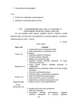 Prakses atskaite 'AS "Latvijas balzams"', 29.