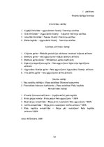 Prakses atskaite 'AS "Latvijas balzams"', 42.