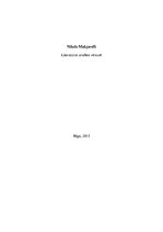 Referāts 'Nikolo Makjavelli literatūras analīze', 1.