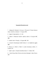 Referāts 'Nikolo Makjavelli literatūras analīze', 8.