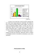 Referāts 'Prakses atskaite mārketingā', 24.