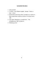 Referāts 'Prakses atskaite mārketingā', 29.