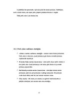 Prakses atskaite 'Prakses atskaite', 37.