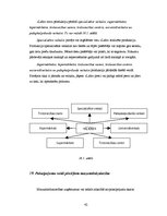 Prakses atskaite 'Prakses atskaite', 42.