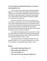 Prakses atskaite 'Prakses atskaite', 45.