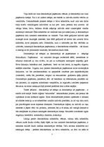 Referāts 'Demokrātija - process vai iekārta', 7.