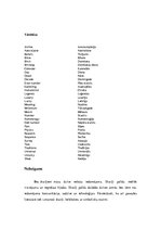 Referāts 'Laimīgie skaitļi', 11.