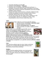 Konspekts 'Holecistīts. Laboratoriskie izmeklējumi', 3.