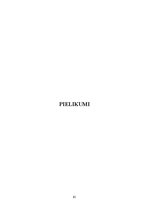 Diplomdarbs 'Lokalizācijas atbalsta rīku salīdzinošā analīze', 81.