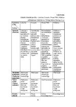 Diplomdarbs 'Lokalizācijas atbalsta rīku salīdzinošā analīze', 82.
