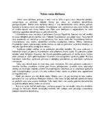 Eseja 'Valsts varas dalīšana', 1.